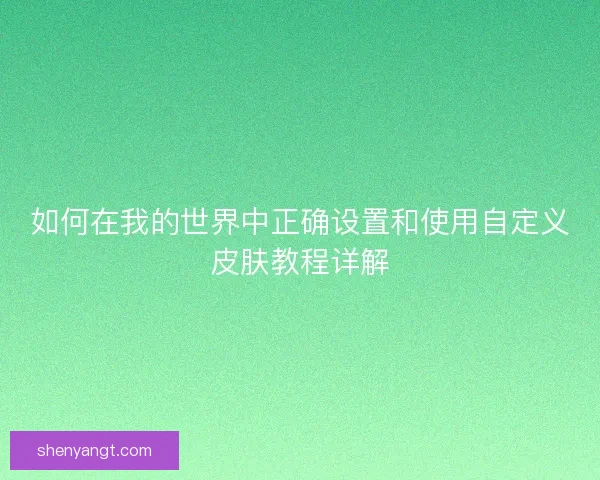 如何在我的世界中正确设置和使用自定义皮肤教程详解