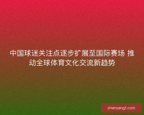 中国球迷关注点逐步扩展至国际赛场 推动全球体育文化交流新趋势