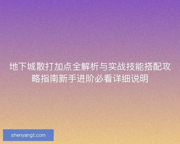 地下城散打加点全解析与实战技能搭配攻略指南新手进阶必看详细说明