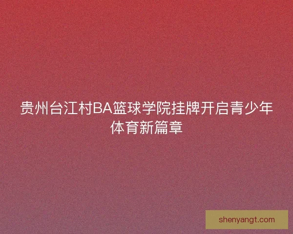 贵州台江村BA篮球学院挂牌开启青少年体育新篇章
