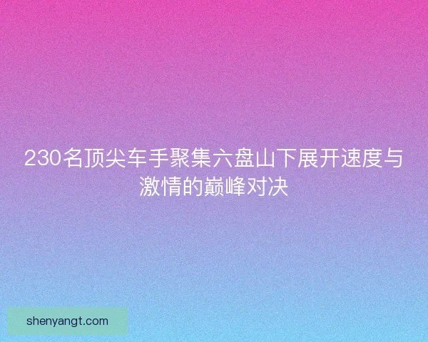 230名顶尖车手聚集六盘山下展开速度与激情的巅峰对决