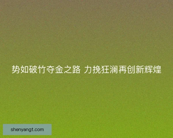 势如破竹夺金之路 力挽狂澜再创新辉煌