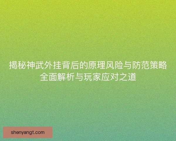 揭秘神武外挂背后的原理风险与防范策略全面解析与玩家应对之道