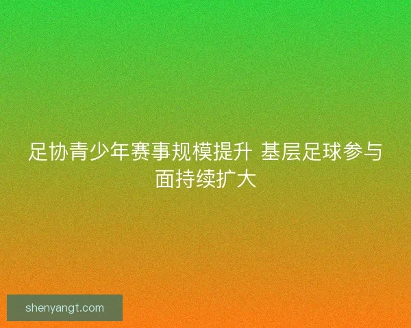 足协青少年赛事规模提升 基层足球参与面持续扩大