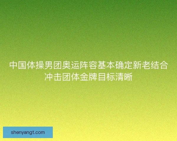 中国体操男团奥运阵容基本确定新老结合冲击团体金牌目标清晰
