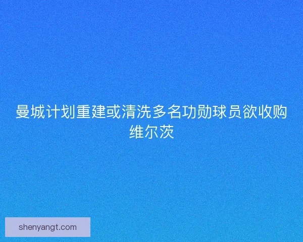 曼城计划重建或清洗多名功勋球员欲收购维尔茨